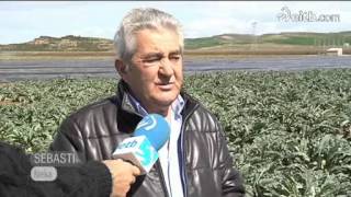 Euriak arazoak sortu ditu Nafarroako errepideetan