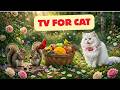 🔥 Pets Go Wild Watching This! 😺🐶🐦 Colorful Birds in a Sunny Garden | Ultimate Pet TV 4K