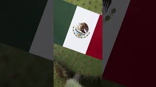🦅The Mexican Flag