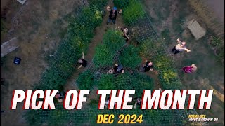 Emerald Legends | Pick of the Month Dec 24 | Wot's growin on