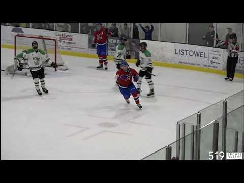OEHL Playoffs (Game 4) - Ripley Wolves vs Minto 81's