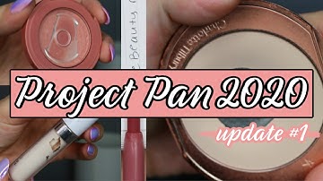 PROJECT PAN 2020: Update #1