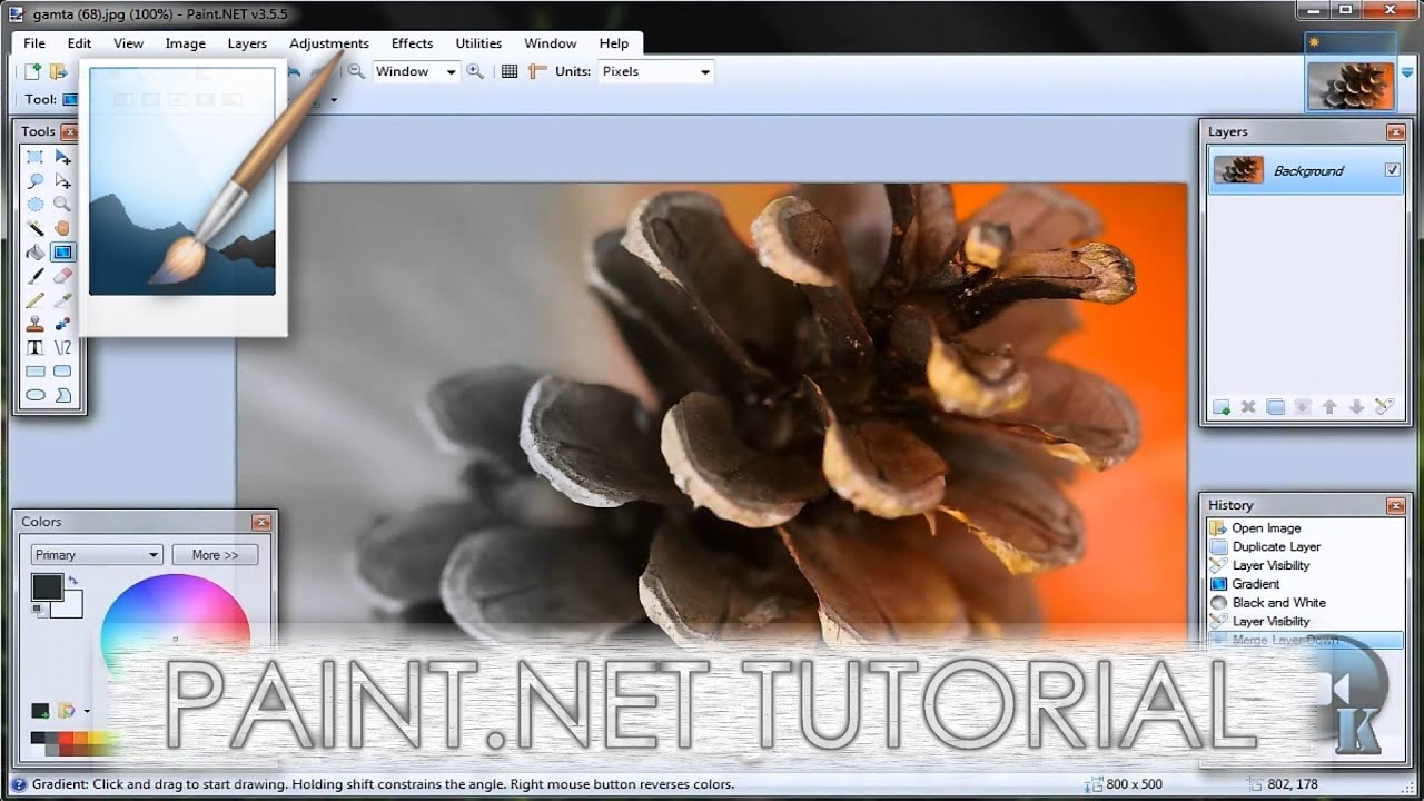 Paint.NET tutorial number 53 - Semi black and white photo - YouTube