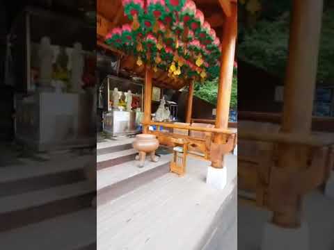 효녀심청 영상 썸네일: 영천 돌할배~^^