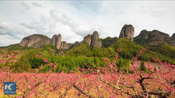 Smell of Spring: watch sea of peach blossoms in Jiangxi - DayDayNews