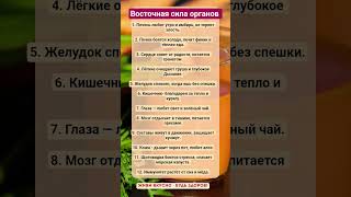 ВОСТОЧНАЯ СИЛА ОРГАНОВ!!! #зож #здоровье #силаорганов #витамины #еда #пп #факты #шортс
