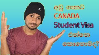 අඩු ගානකින් Canada Student Visa එන්නෙ කොහොමදපුලුවන්ද??go to canada as a student on a tight budget.