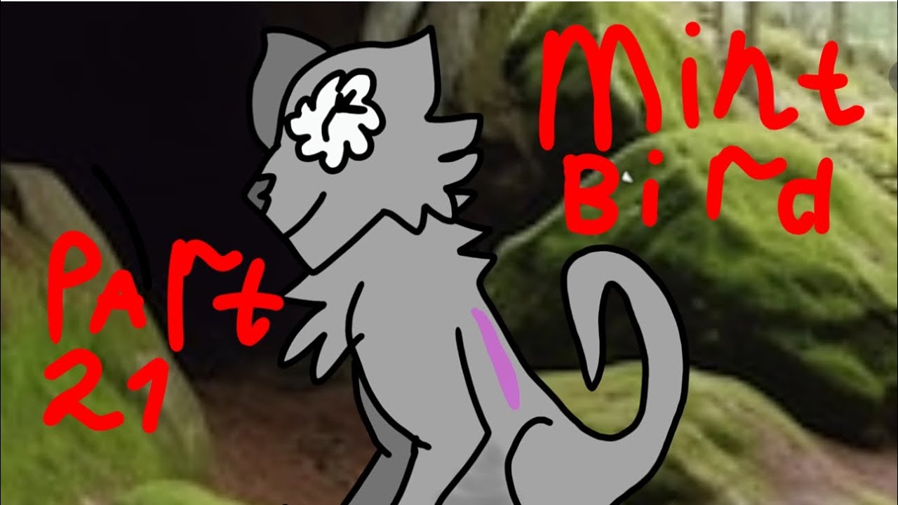 Mint bird / part 21 / Bunara cat / 
