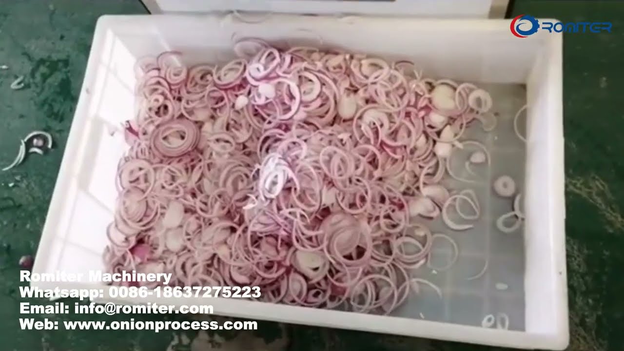 Onion Slicing Machine for SaleHow to Cut Onion to Slice YouTube