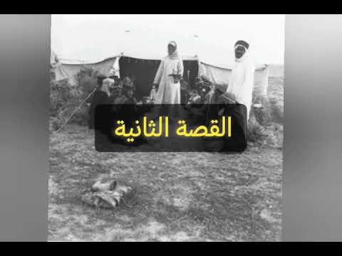 قصة الحنشل الذي يطاردون خويا الحكوم