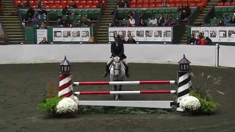 Video of MONTREAL ridden by KELLEY MCCORMICK from ...