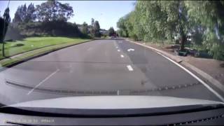 Indian P-Plater