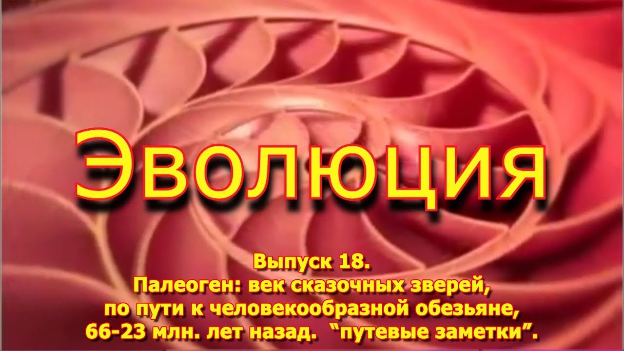 Палеоген: век сказочных зверей, по пути к человекообразной обезьяне ...