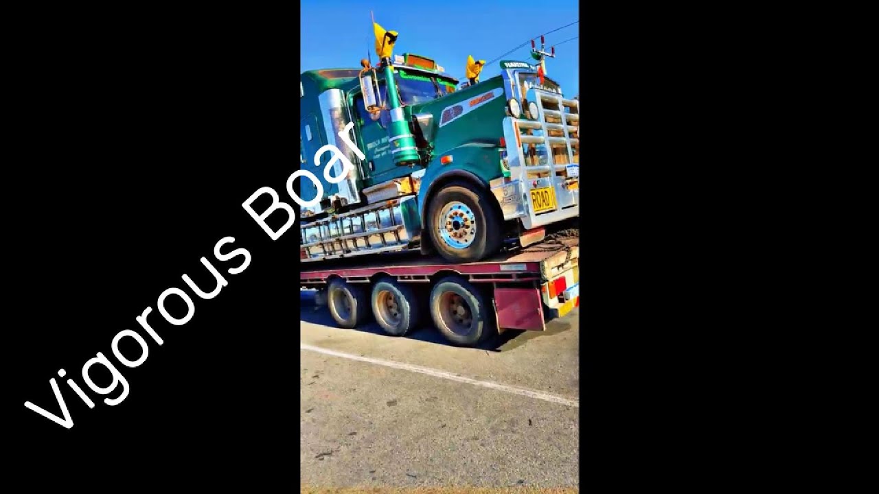 Oh No Broken Tory told me to