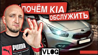 СКОЛЬКО хочет KIA CEED? LIVEнь_12/kia ceed #замена масло #цены на запчасти