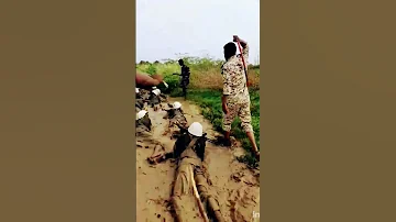 تدريب القوات المسلحة السودانية 