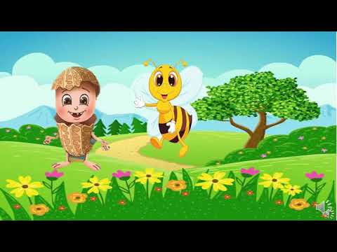 Bài giảng số 44 - Môn Tiếng Việt, tuần 27 lớp 2 - Bài: Ôn tập Tiếng Việt giữa học kì II Tiết 6