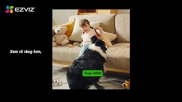 C6W: Công nghệ chống ngược sáng thực True-WDR