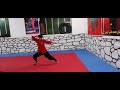 ستار حسینی اجرای بسیار عالی خط دو کونگ فو (آتادو)