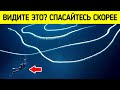 7 странных созданий, которых только что открыла наука