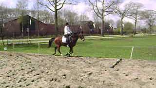 Zazou11042012 062.AVI