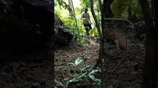 solo camping bushraft membangun tempat berteduh #nature #bertahanhidup #bushcraft #survivalmode