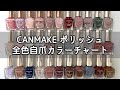 キャンメイク♡マニキュア💅全色自爪に塗ってみた❤️