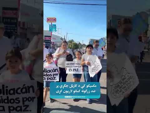 مکسیکو کې د کارټل جګړې پر ضد زرګونه کسانو لاریون کړی