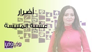 أضرار عشبة المليسة