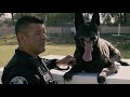 Animal Welfare Hero: K-9 Officer Puskas