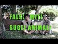 17 falsi miti sugli animali  wikinauti