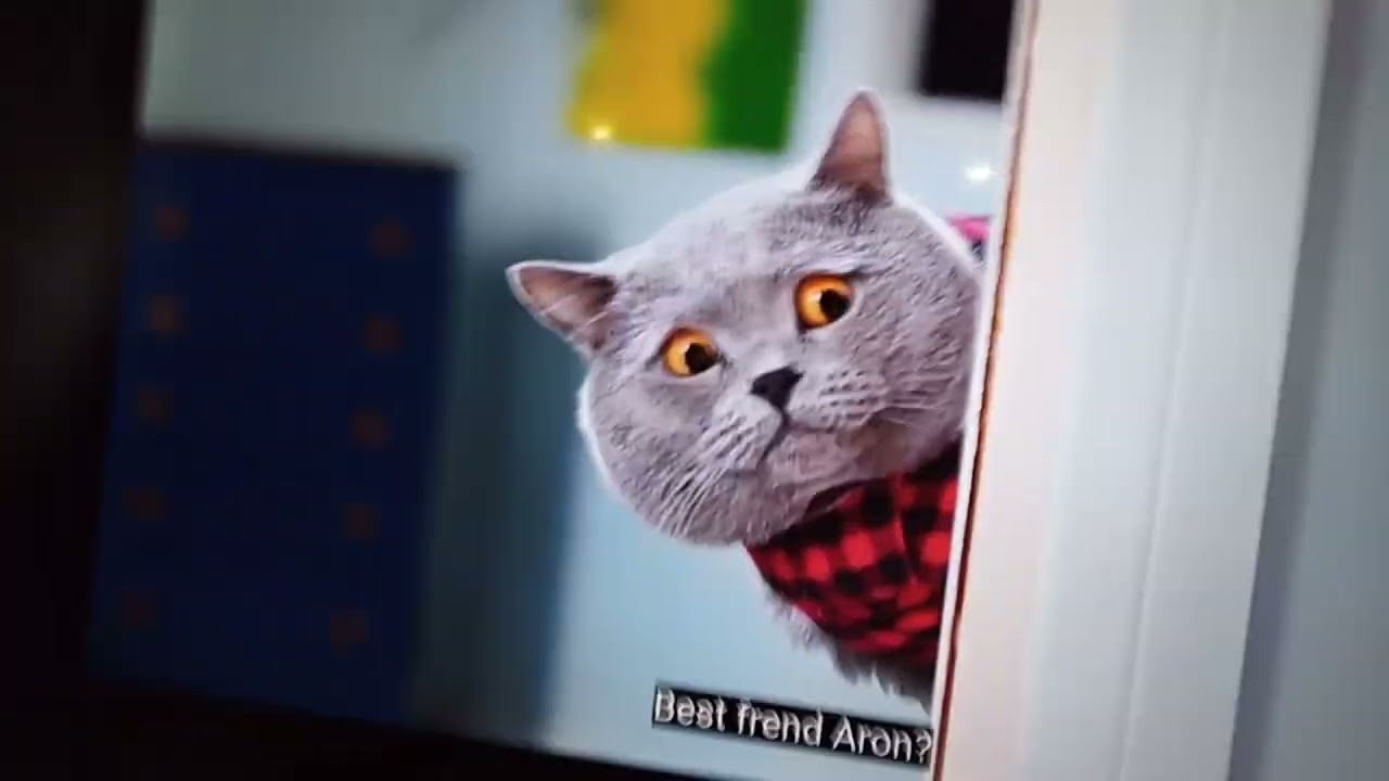 Cat aaronsanimals screaming with nbc sneezing peacock!