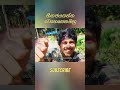 ඔහු තවමත් හීන හඹා යයි😍#yhashan_kp#trending#short_feed#viralvideo#funny