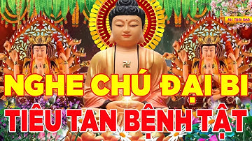 Nghe Kinh Chú Đại Bi 49 Biến Mỗi Ngày Tiêu Tan Bệnh Tật Cầu Được Ước Thấy Bình An May Mắn