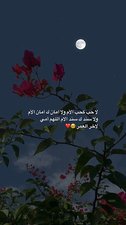 اجمل ما قيل عن الأم 🥺❤️#like #explore #ترند @ar__r8 #تصاميم #اكسبلور #ستوريات #امي #اقتباس