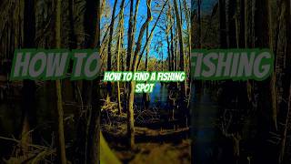 The easiest way to find the BEST fishing spot #fishing #adventure #nature #explore #exploring The easiest way to find the BEST fishing spot #fishing #adventure #nature #explore #exploring