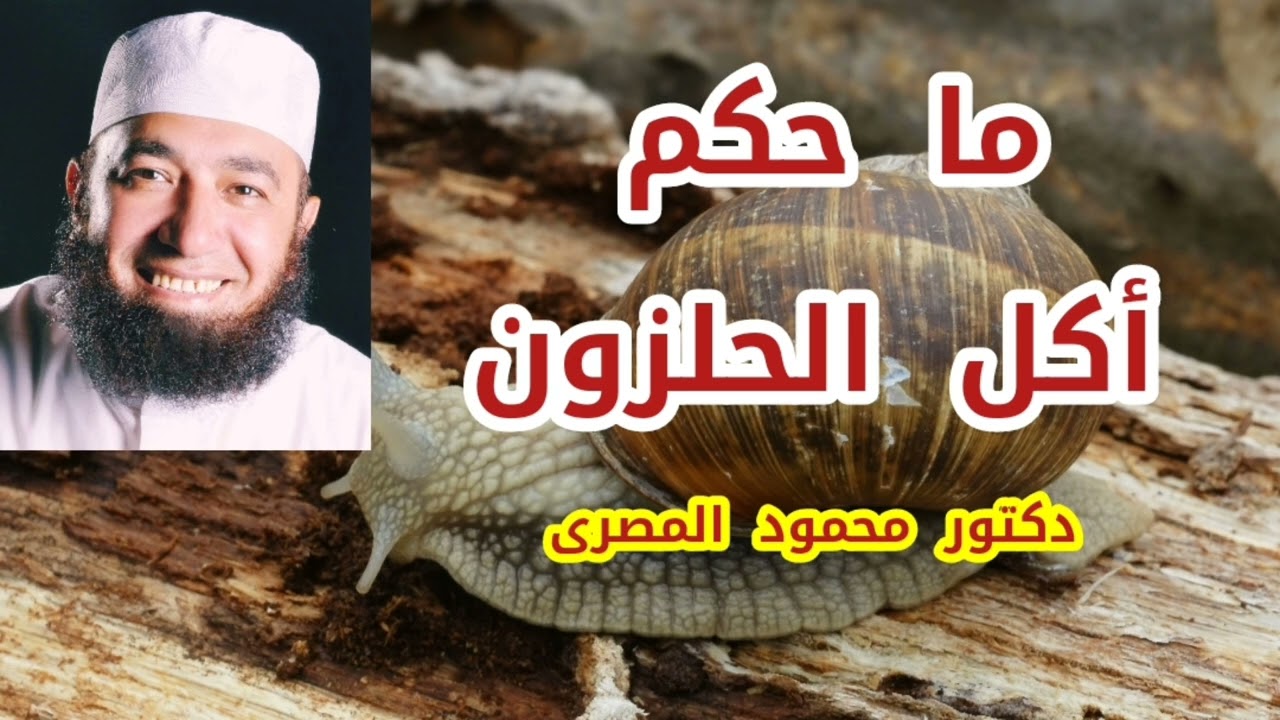 ما حكم أكل الحلزون ؟  ( حقائق و أسرار )  دكتور محمود المصرى