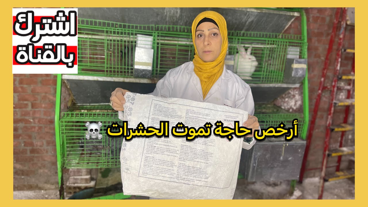 أرخص حاجة تموت الحشرات في المكان ومفيدة جدا حافظ على الارانب بتاعتك❤️