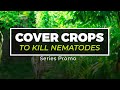 How to eliminate nematodes with a surprising farming technique series promo