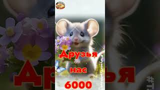 Друзья нас 6 000  на канале YouTube канале! Спасибо за поддержку!