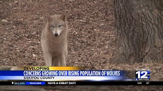 Concerns over growing wolf population in Siskiyou County