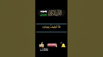 تلاوة, ( الله لطيف بعباده ) #القران_الكريم_بصوت_جميل #حالات_واتس #قناة_مكاسب