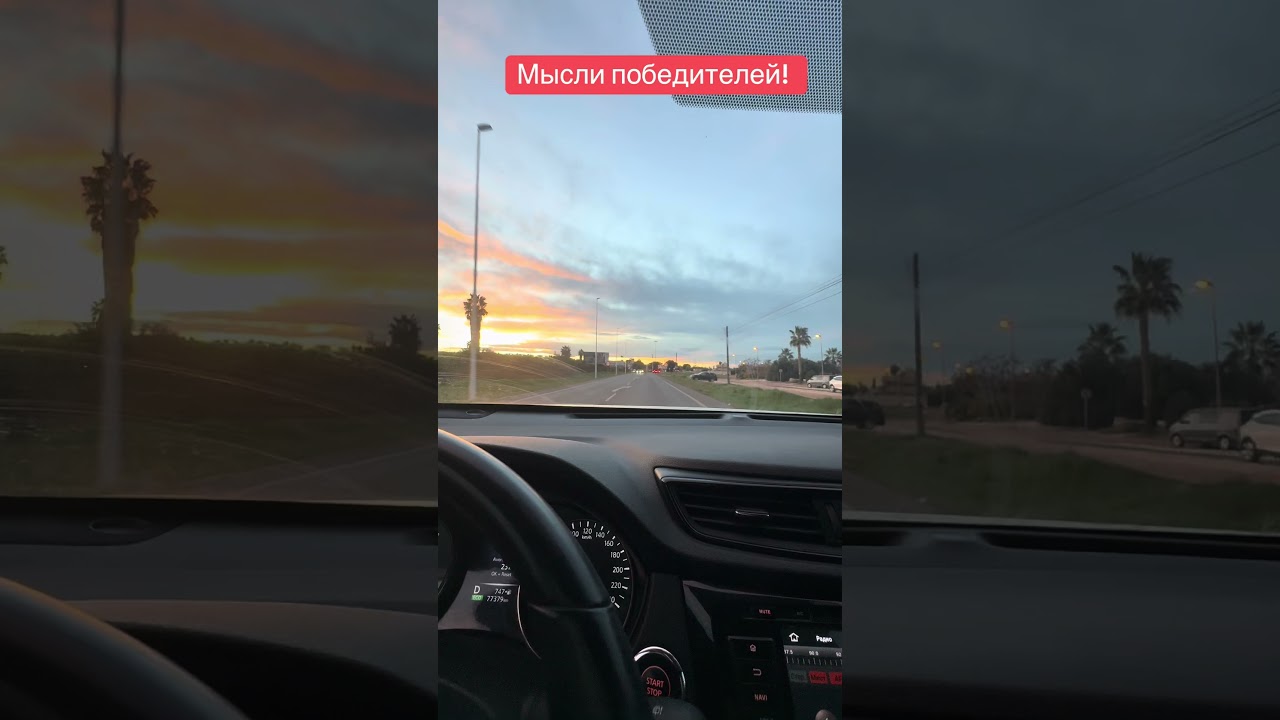 Ссылка в профиле