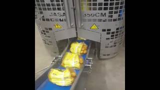 Download Lagu Jasa 350 CM MP3