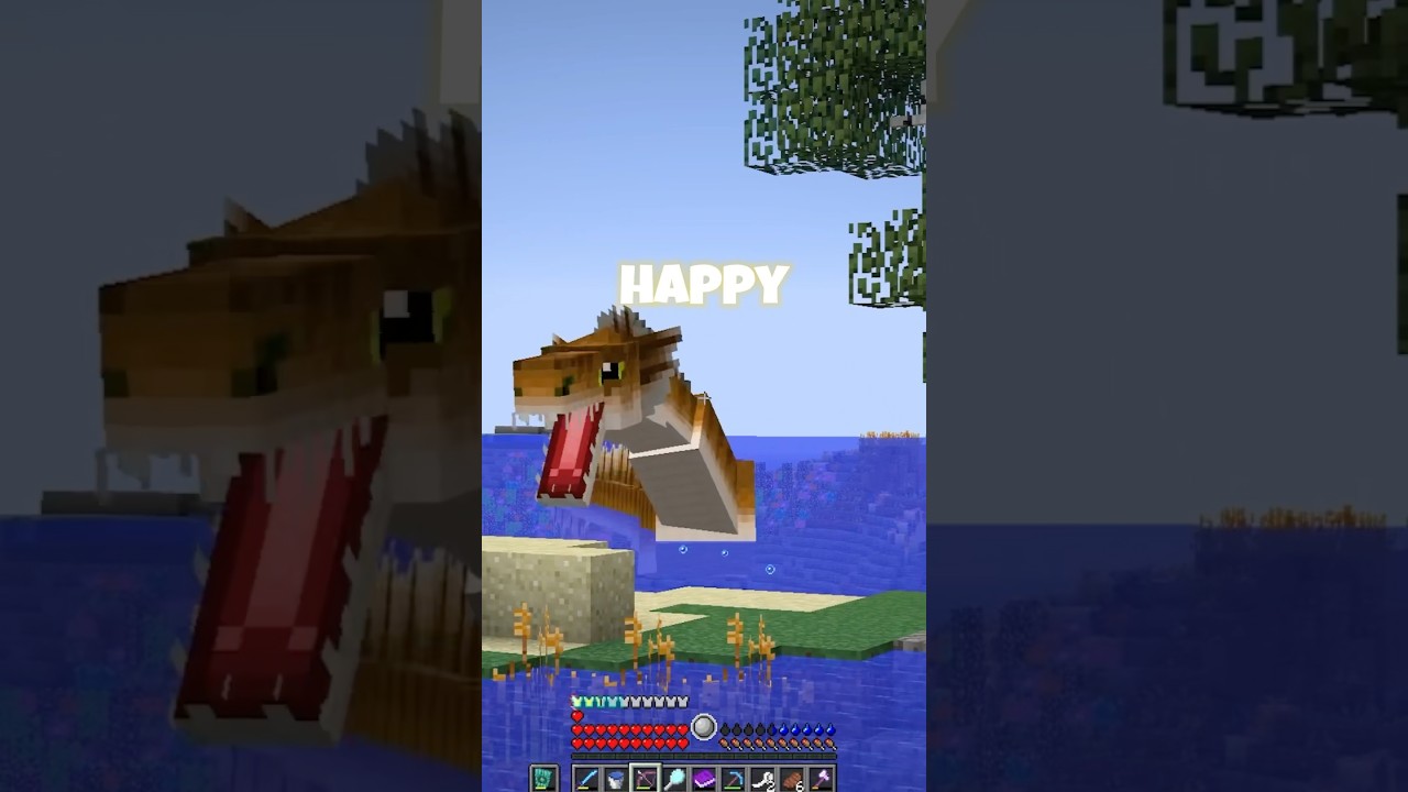 Happy sea serpent, or charging up to eat me?? 