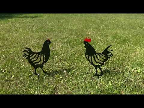 Курка та півень, металевий вуличний декор, кілочок для подвір'я, саду або газону., видео 1