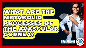 What Are The Metabolic Processes Of The Avascular Cornea? - Optometry Knowledge Base