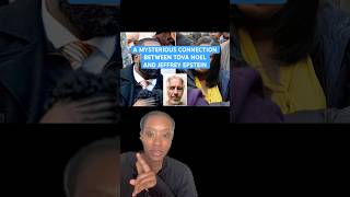 The Mysterious Connection between Jeffrey Epstein and Tova Noel Profile