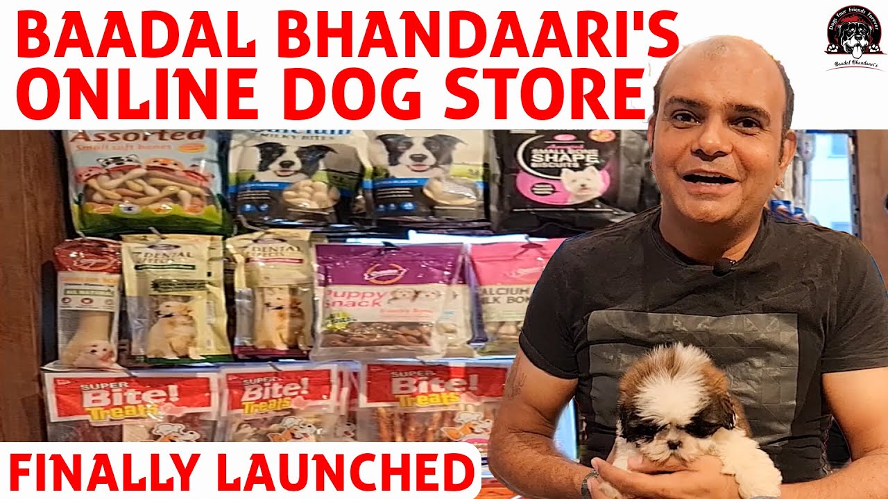 Online Dog Store site Launch Pet Food Treat