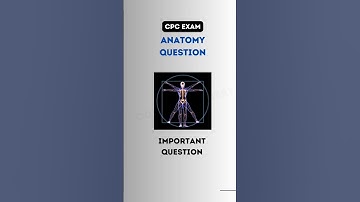 CPC Exam Anatomy question. Let